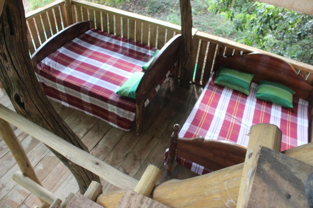 Forest Tree Top Holiday Resort Buttala Exterior photo