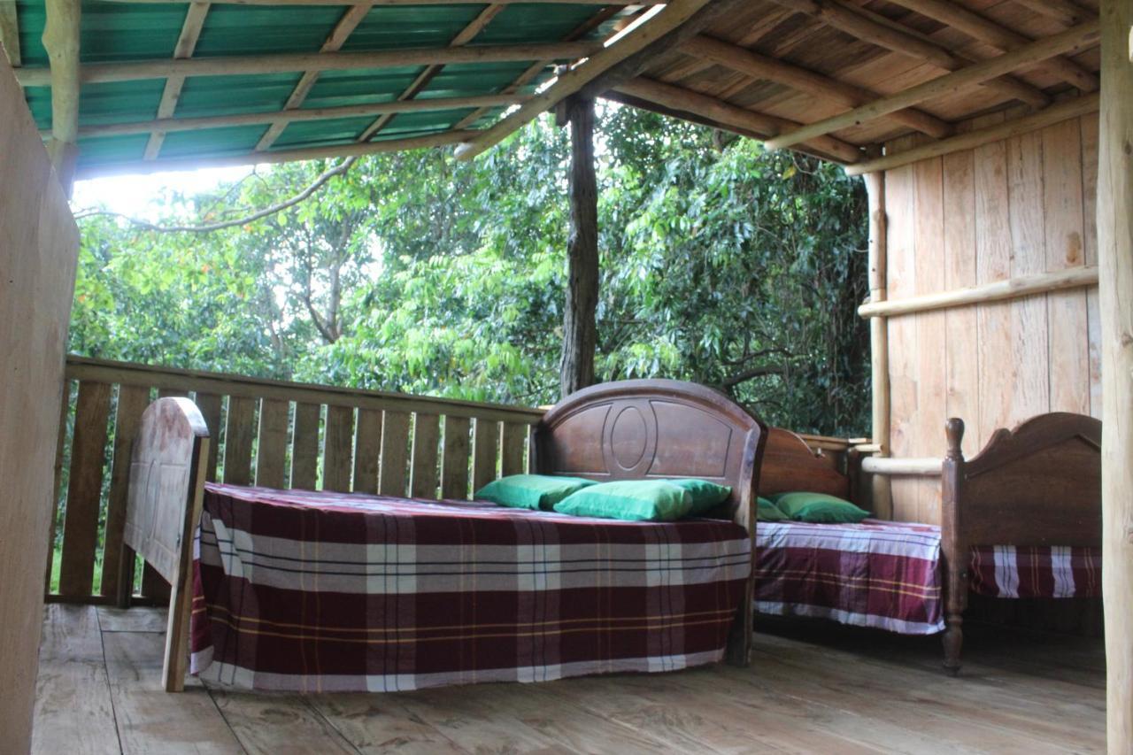 Forest Tree Top Holiday Resort Buttala Exterior photo